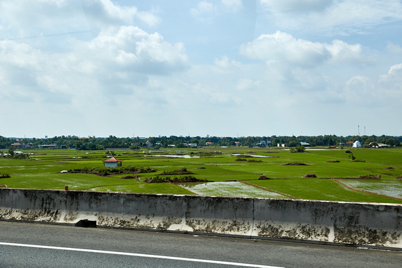 All rice patties both sides of Highway 1, SW of HCMC on the Mekong Delta.