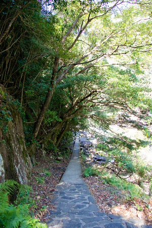 Beautiful path towards the Oko-no-taki Falls (大川の滝).