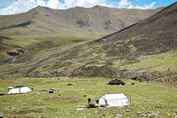 Tents of the Yak ranchers.