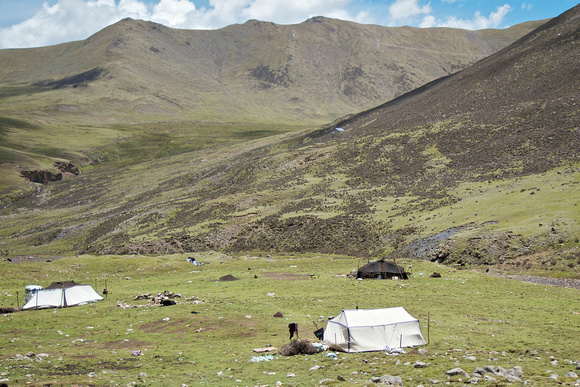 Tents of the Yak ranchers.