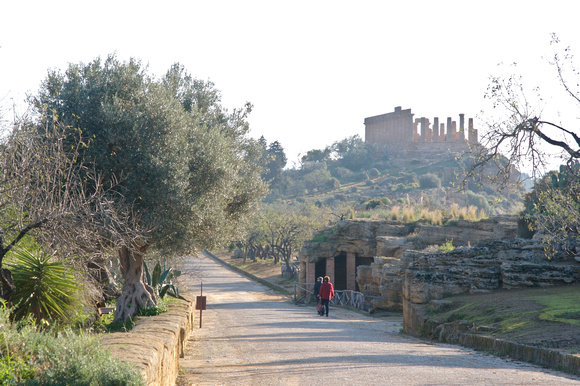 Walked along Via Sacra to the Temple of Hera.