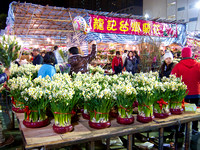 Chinese New Year Flower Markets 2011-2