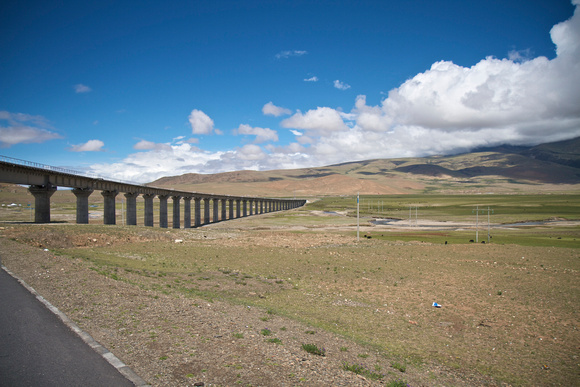 Going under a long viaduct for the Qinghai-Tibet Railroad.