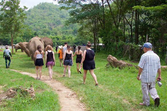 Then we went to meet the herd.