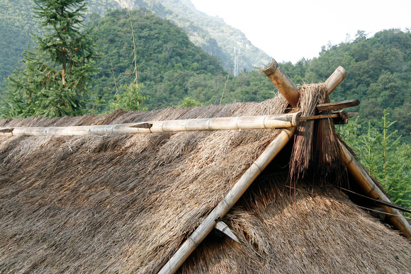 Bamboo structure, straw roof.