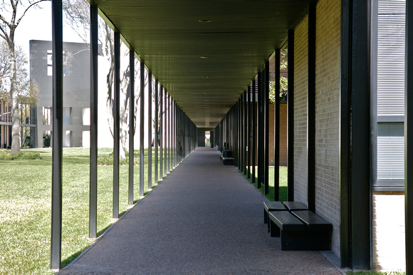 The Academic Mall is designed by Philip Johnson in the 50's.